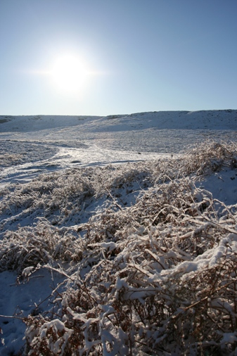 Snow on Ilkley Moor