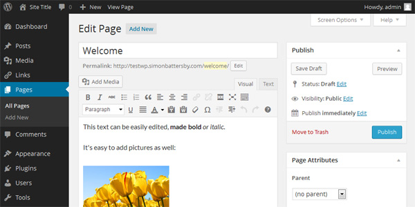 Wordpress Admin page
